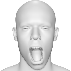 Yawn