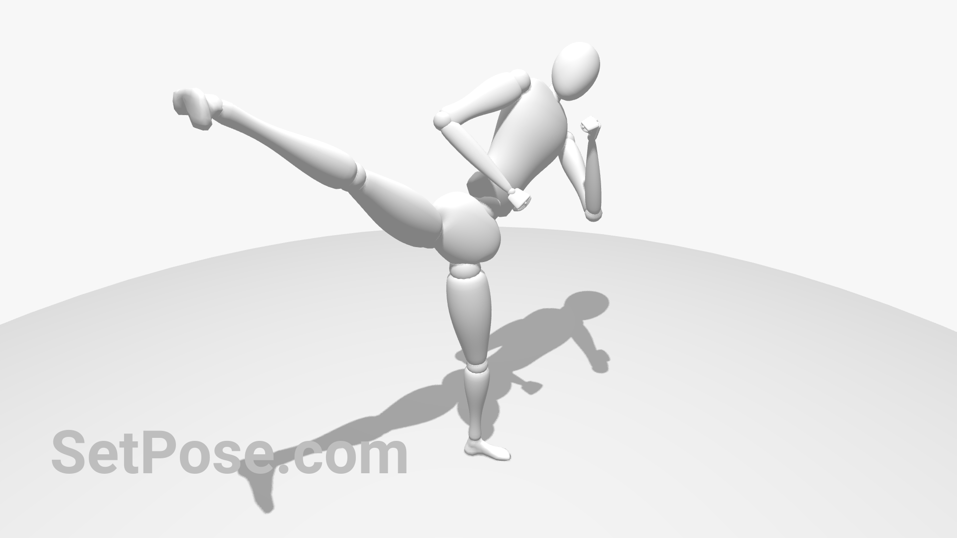 Karate kick pose – View and customize this 3D pose with SetPose ...