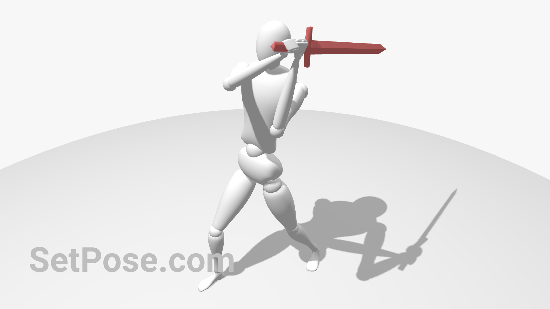 Sword diagonal blow reference pose