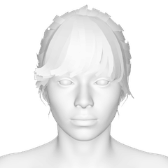 Female Hair 2