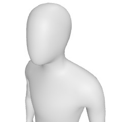 Basic model