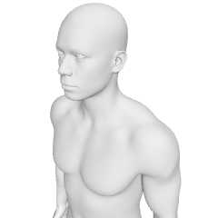Realistic model (male)