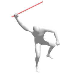 Polo reference pose